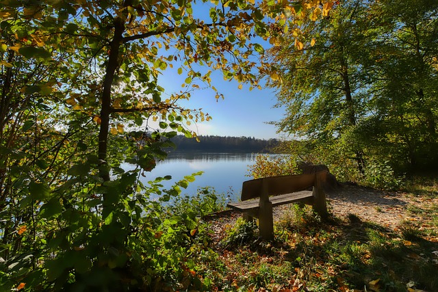 工智能技术 工智能技术