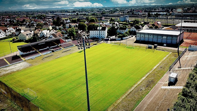 球员的心理 球员的心理