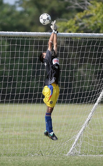 备的备用电 备的备用电